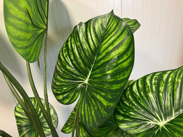 Real touch philodendron white green kunstplant (2x) (210cm hoog) - afbeelding 10 van  13