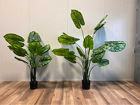Real touch philodendron white green kunstplant (2x) - afbeelding 1 van  3