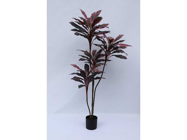 Real touch red draceana kunstplant (185cm hoog) - afbeelding 8 van  15