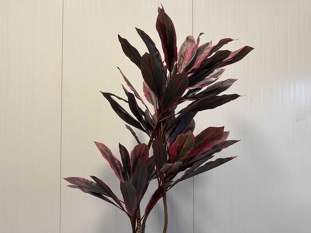 Real touch red draceana kunstplant (185cm hoog) - afbeelding 3 van  15
