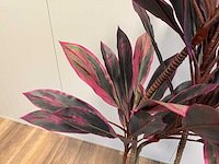 Real touch red draceana kunstplant (185cm hoog) - afbeelding 12 van  15