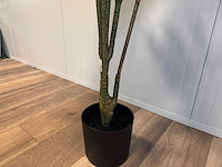 Real touch red side rodhea kunstplant (160cm hoog) - afbeelding 5 van  14