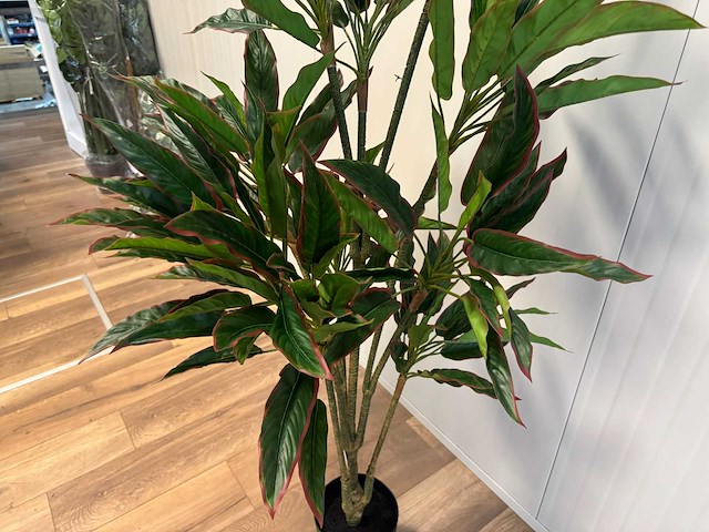 Real touch red side rodhea kunstplant (160cm hoog) - afbeelding 10 van  14