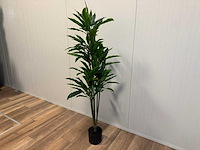 Real touch rohdea kunstplant (145cm hoog) - afbeelding 5 van  8