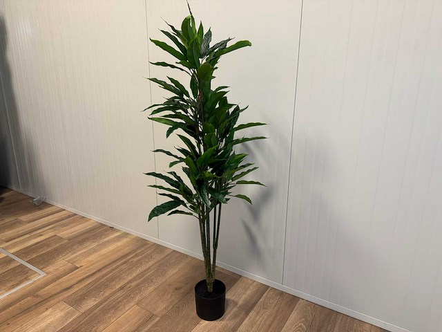 Real touch rohdea kunstplant (145cm hoog) - afbeelding 9 van  15