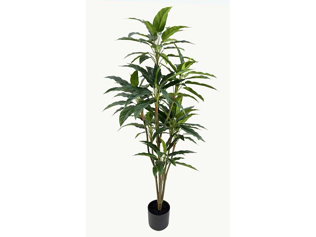 Real touch rohdea kunstplant (145mm hoog) - afbeelding 8 van  15