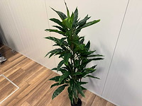 Real touch rohdea kunstplant (2x) (145cm hoog) - afbeelding 12 van  15