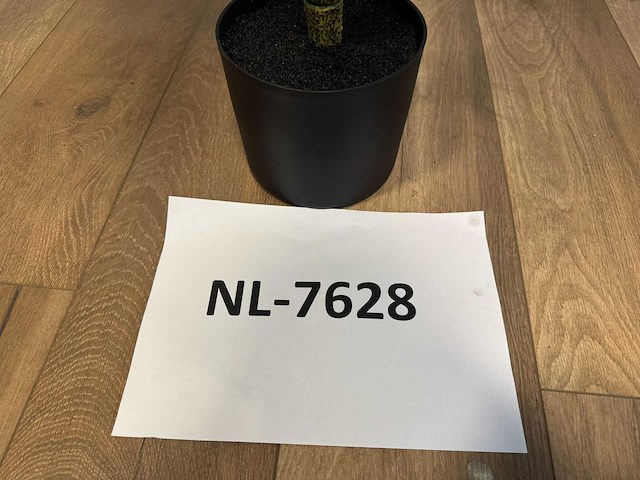 Real touch rohdea kunstplant (2x) (145cm hoog) - afbeelding 1 van  5