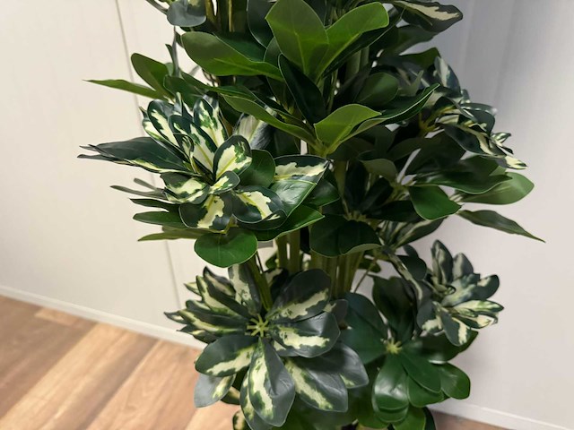 Real touch schefflera tree kunstplant (2x) (140cm hoog) - afbeelding 9 van  13