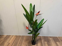 Real touch strelitzia kunstplant (160cm hoog) - afbeelding 7 van  11
