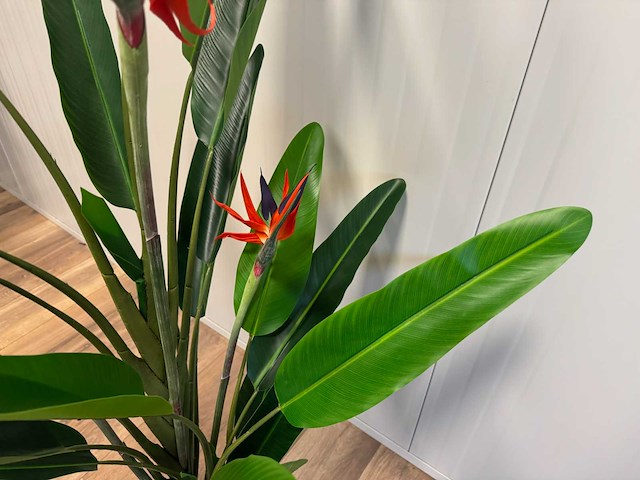 Real touch strelitzia kunstplant (160cm hoog) - afbeelding 8 van  11