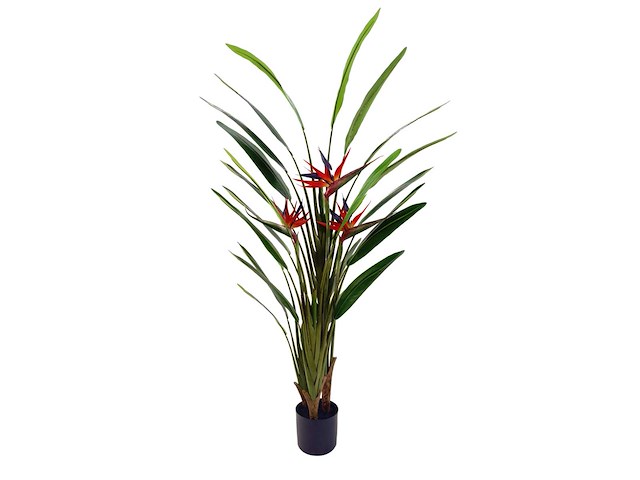 Real touch strelitzia kunstplant (160cm hoog) - afbeelding 4 van  11