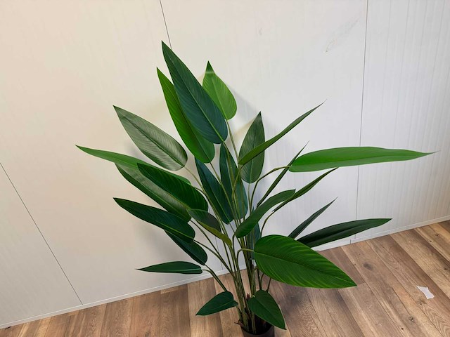 Real touch strelitzia kunstplant (175cm hoog) - afbeelding 11 van  14