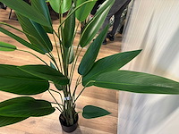 Real touch strelitzia kunstplant (175cm hoog) - afbeelding 10 van  14