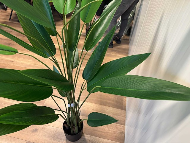 Real touch strelitzia kunstplant (175cm hoog) - afbeelding 10 van  14