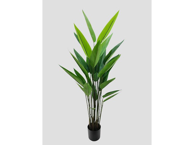 Real touch strelitzia kunstplant (175cm hoog) - afbeelding 7 van  14