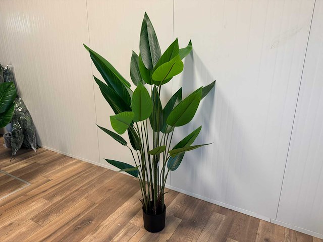 Real touch strelitzia kunstplant (175cm hoog) - afbeelding 1 van  14