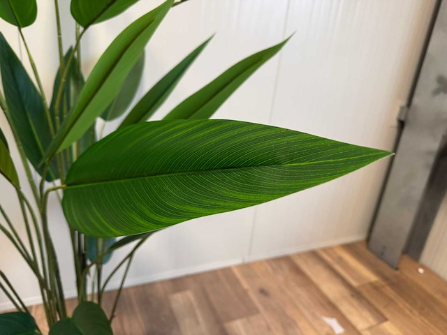 Real touch strelitzia kunstplant (175cm hoog) - afbeelding 13 van  14