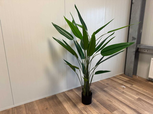 Real touch strelitzia kunstplant (175cm hoog) - afbeelding 9 van  14