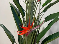 Real touch strelitzia kunstplant (210cm hoog) - afbeelding 7 van  17