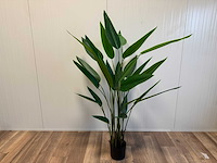 Real touch strelitzia kunstplant (2x) (175cm hoog) - afbeelding 8 van  14
