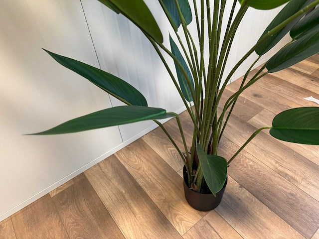 Real touch strelitzia kunstplant (2x) (175cm hoog) - afbeelding 3 van  14