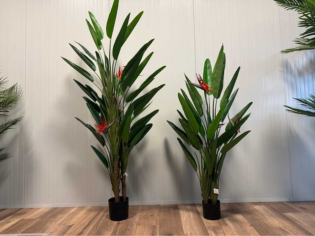 Real touch strelitzia kunstplant (2x) - afbeelding 3 van  3
