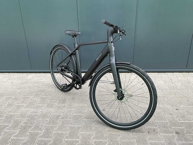 Reany n1 elektrische fiets - afbeelding 17 van  19