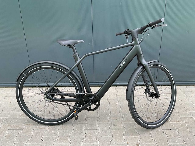 Reany n1 elektrische fiets - afbeelding 18 van  19
