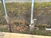 Reclame bord - afbeelding 2 van  4