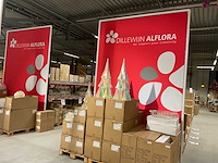 Reclame frame (3x) - afbeelding 3 van  9