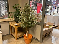 Recreate nature planten met pot - afbeelding 1 van  9