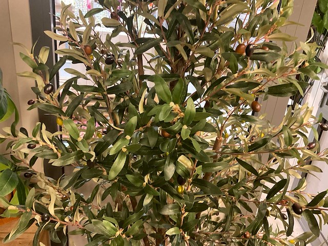 Recreate nature planten met pot - afbeelding 4 van  9