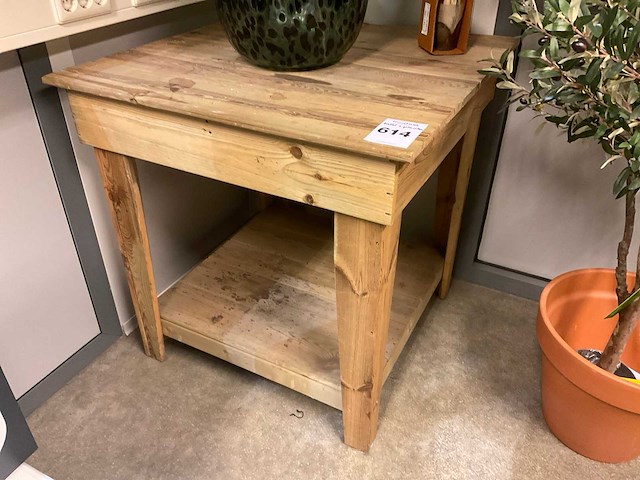 Recreate nature planten met pot - afbeelding 7 van  9