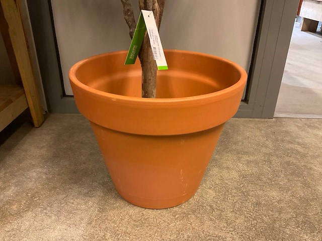 Recreate nature planten met pot - afbeelding 8 van  9