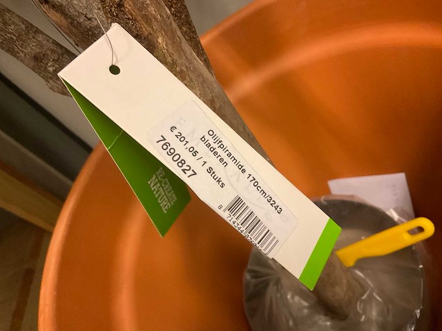 Recreate nature planten met pot - afbeelding 9 van  9