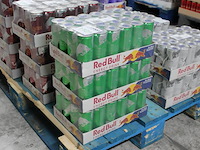 Red bull green edition kaktusfrucht 72 blikken met tht 8-2026.