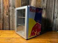 Red bull m036 “cooler” | 37 liter