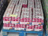 Red bull summer edition witte persik 576 blikken met tht 3-2026. bod is inclusief 86,40 euro statiegeldwaarde - afbeelding 2 van  2