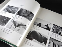 Red de dieren - afbeelding 3 van  5