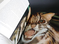 Red de dieren - afbeelding 4 van  5