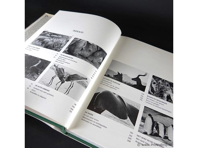 Red de dieren - afbeelding 3 van  5