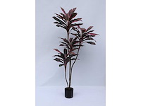 Red draceana kunstplant (185cm hoog) - afbeelding 5 van  8