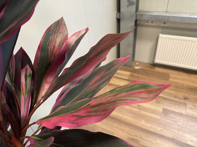 Red draceana kunstplant (185cm hoog) - afbeelding 7 van  8