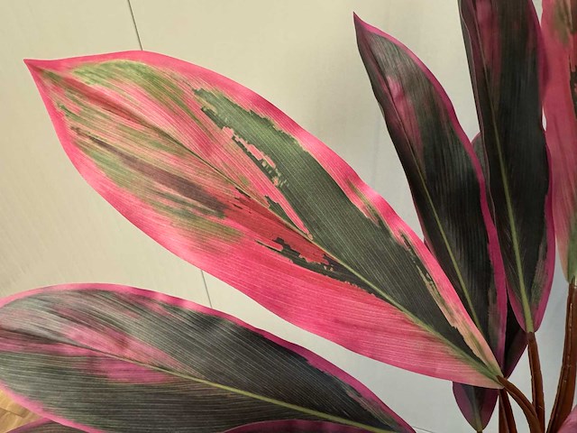 Red draceana kunstplant (185cm hoog) - afbeelding 4 van  15
