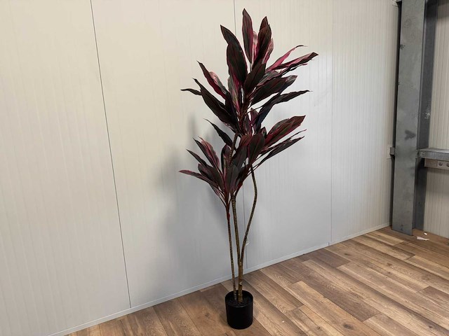 Red draceana kunstplant (185cm hoog) - afbeelding 8 van  15