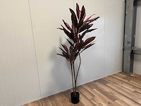 Red draceana kunstplant (185cm hoog) - afbeelding 8 van  15