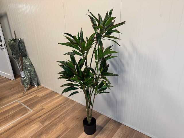 Red side rodhea kunstplant (160cm hoog) - afbeelding 1 van  14