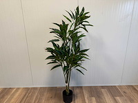 Red side rodhea kunstplant (160cm hoog) - afbeelding 14 van  14