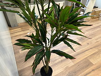 Red side rodhea kunstplant (160cm hoog) - afbeelding 2 van  14